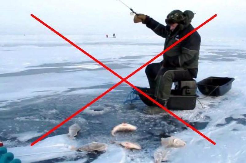 Риболовлю заборонили з 1 листопада 2016 р. до початку весняного нестерового періоду 2017 р