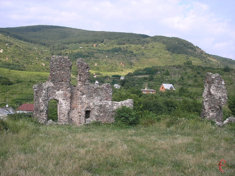 Пагорби навколо замкових руїн вкриті виноградниками