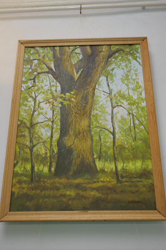 На картинах Станіслава Гуменюка чимало подільських  пейзажів. Знайшов своє відображення на полотні і старезний дуб.