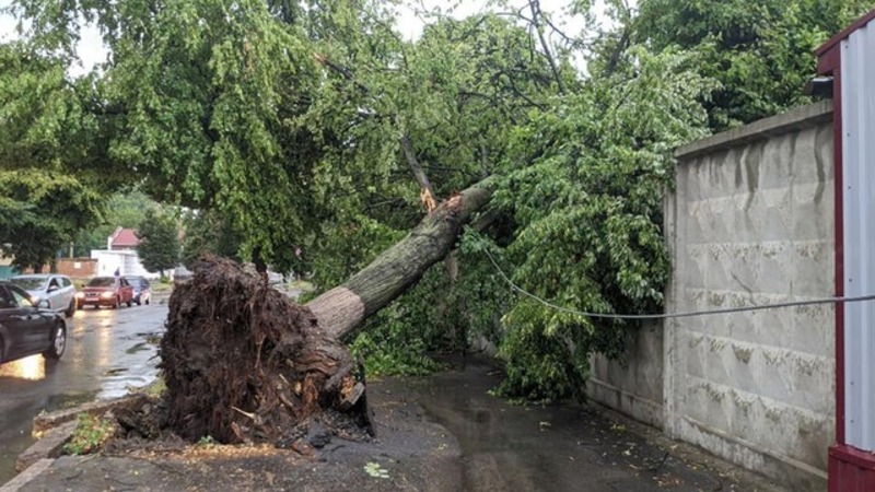 Цього дня минулого року злива та вітер на Хмельниччині повалили дерева та зірвали дах будинку 