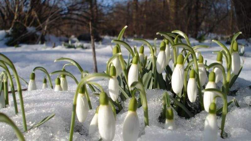За даними хмельницьких метеорологів зимовий режим погоди в березні, спостерігається в середньому раз на 5 років