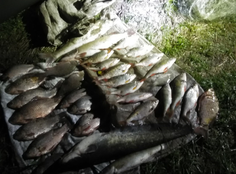 З 1 по 30 вересня державні інспектори рибоохоронного патруля викрили 29 порушень