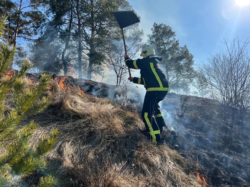 З початку року на території Хмельницької області зафіксували понад 140 пожеж сухої рослинності