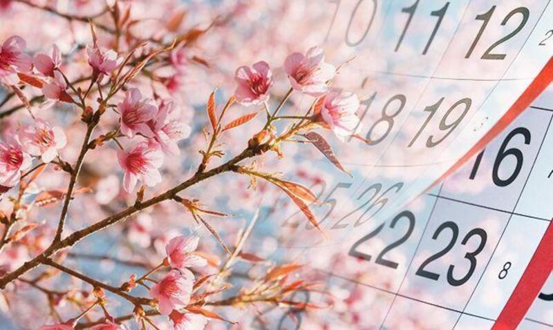 Навесні цього року мали б бути вихідними днями понеділки 25 квітня, 2 травня та 9 травня