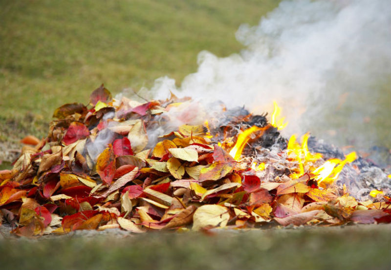 Спалювання листя шкідливе до довкілля та людського здоров