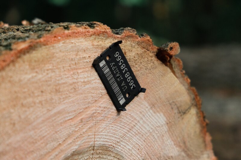 Від початку 2024 року лісничі Хмельниччини продали понад 80 тисяч кубометрів деревини