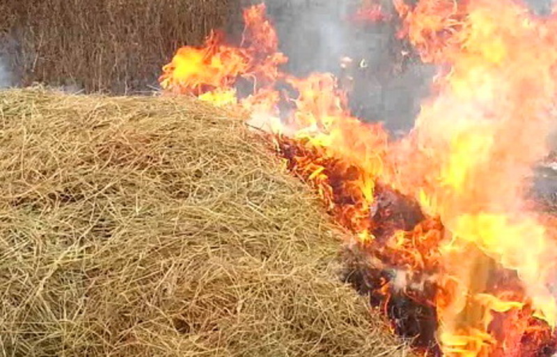 У Волочиському районі вогонь знищив 5 тонн кормів