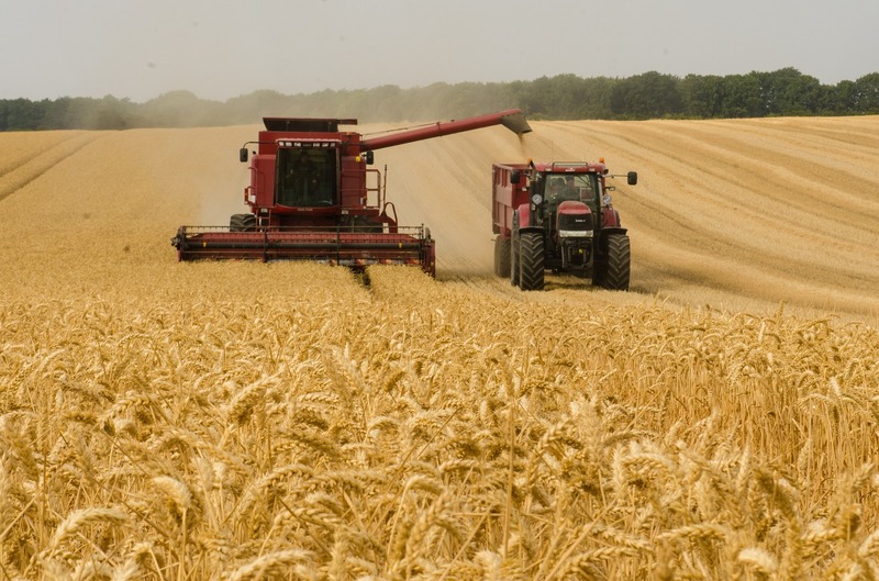 Україна має вдосталь продовольства торішнього врожаю