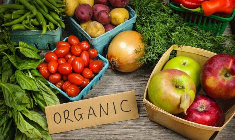 Головні особливості органічних продуктів | Новини Хмельницького "Є" | ye.ua