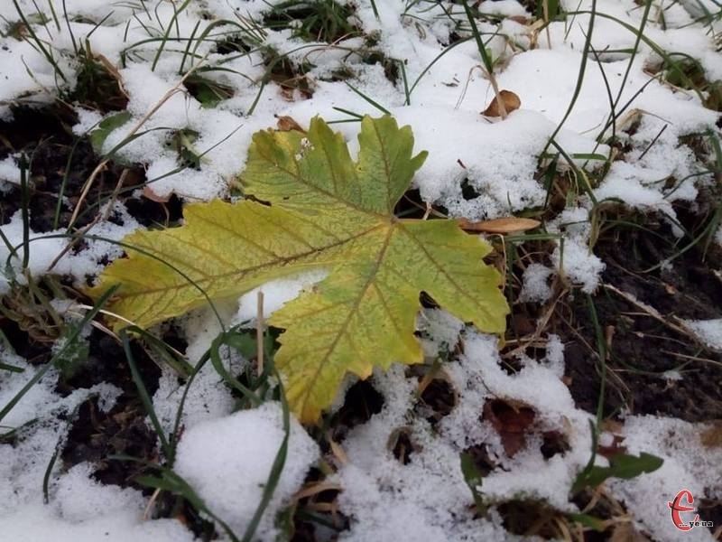 Кліматична зима на Хмельниччині настала 17 листопада