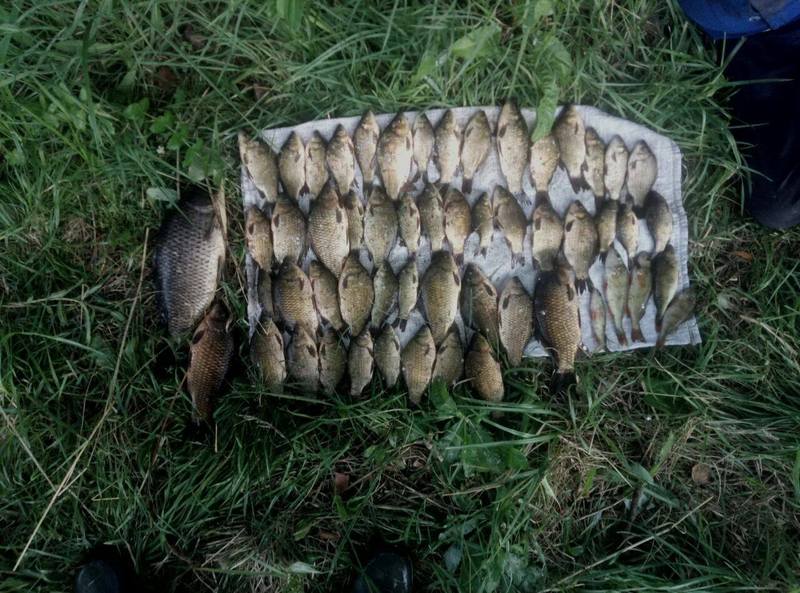 На Хмельниччині продовжують фіксувати порушення правил рибальства
