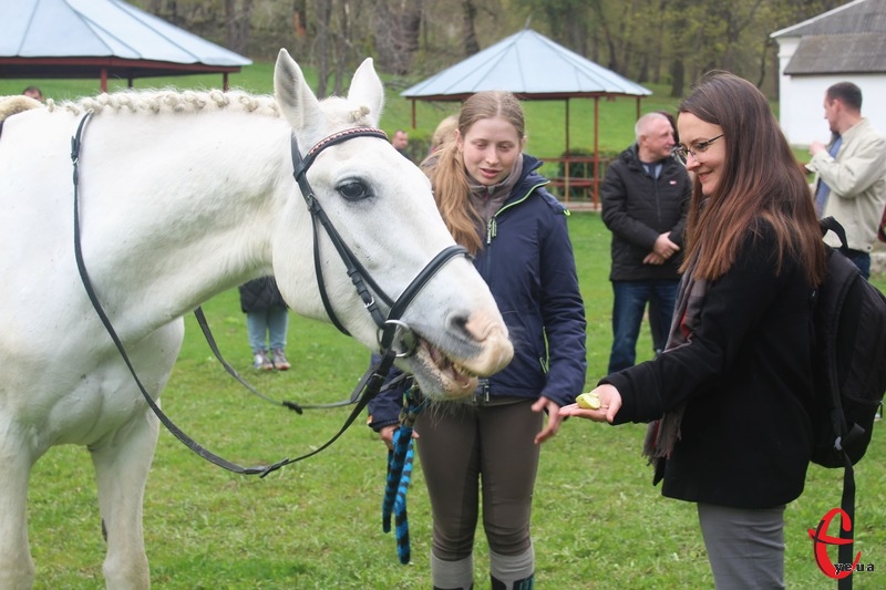 Знайомство з кіньми може допомогти людині налаштуватися на позитивний лад