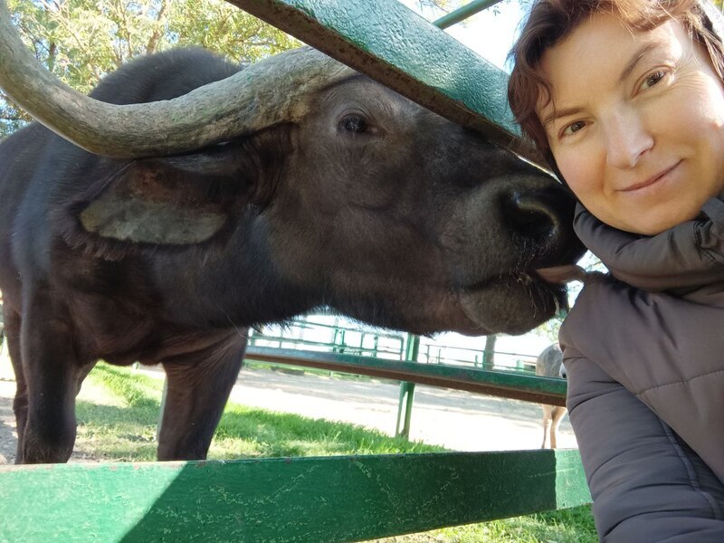 Улюбленцем Наталі в заповіднику був африканський буйвол "Матрос"