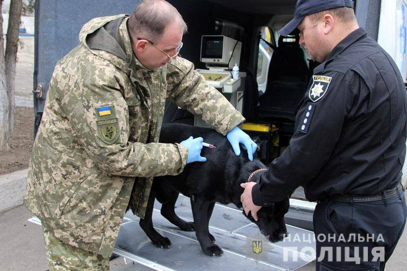 Мобільний ветеринарний пункт ГУНП в Хмельницькій області надав допомогу більше сотні службових собак, що несуть службу в зоні ООС