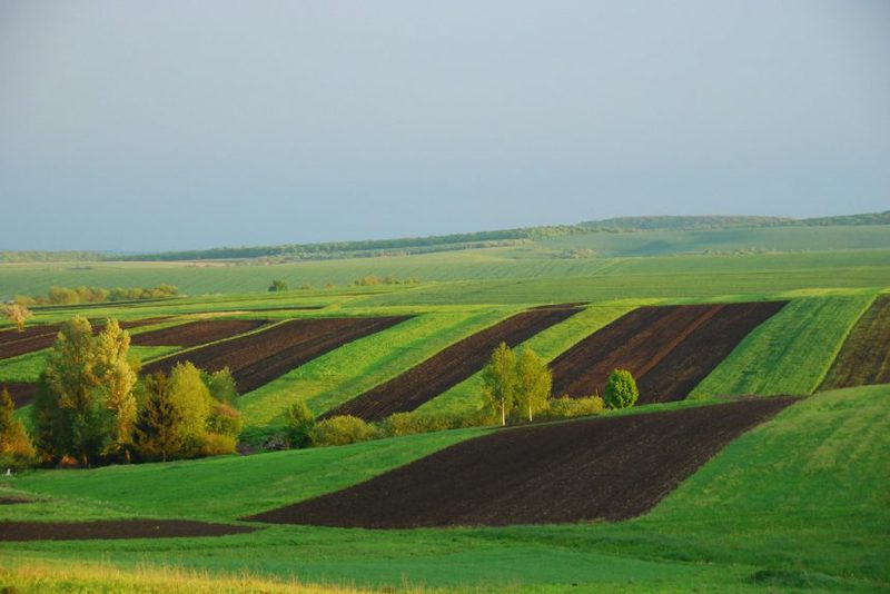 У Хмельницькій області учасники АТО (ООС) отримали у власність 9 366 земельних ділянок