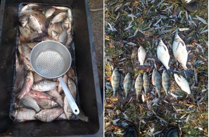 Інспектори рибоохоронного патруля вилучили у порушників 103 кілограми риби