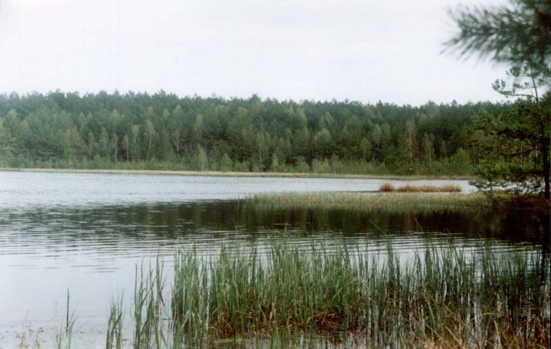 Регіональний ландшафтний парк «Мальованка» знаходиться у Шепетівському та Полонському  районах
