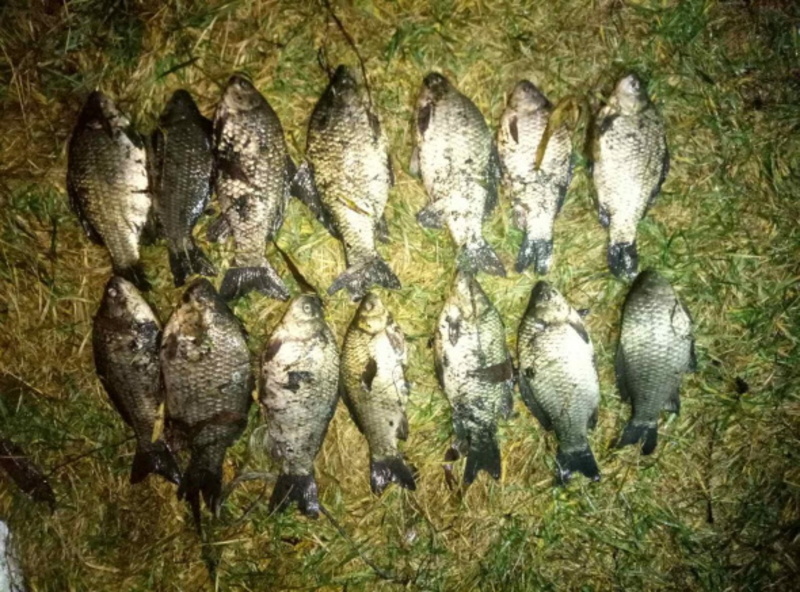 Протягом доби рибпатрульні Хмельниччини виявили 4 грубих порушення правил рибальства