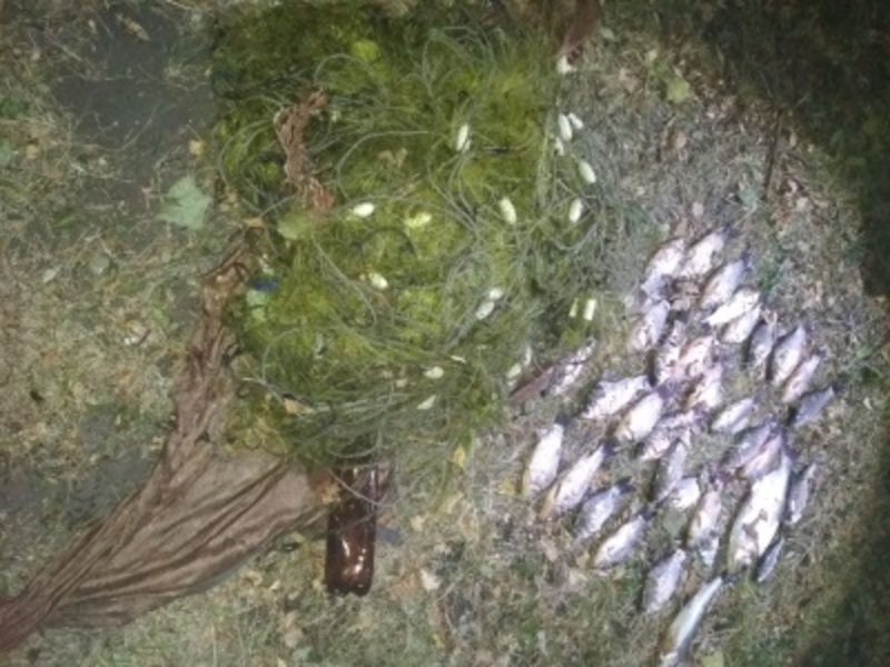 На річці Південний Буг викрито порушників рибальства