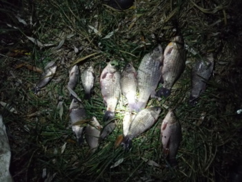 Рибпатрульні Хмельничинни протягом одного дня виявили 5 грубих порушень правил рибальства
