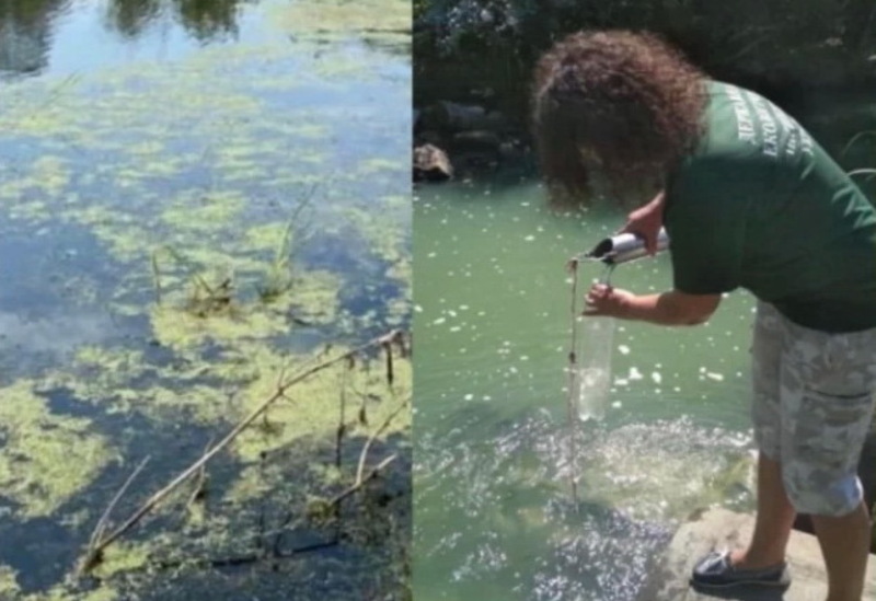 У річці Хомора виявили перевищення норм забруднюючих речовин