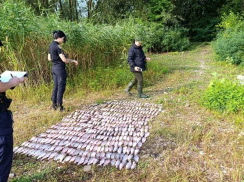 Чоловік спіймав 52 кілограми риби, серед яких був вид, який занесений до Червоної книги України