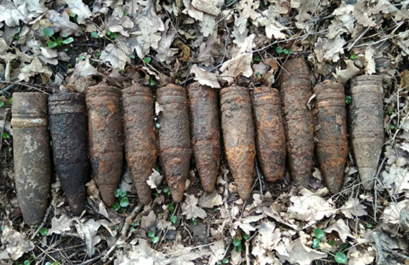 Снаряди були знайдені 16 березня неподалік села Довжок Кам