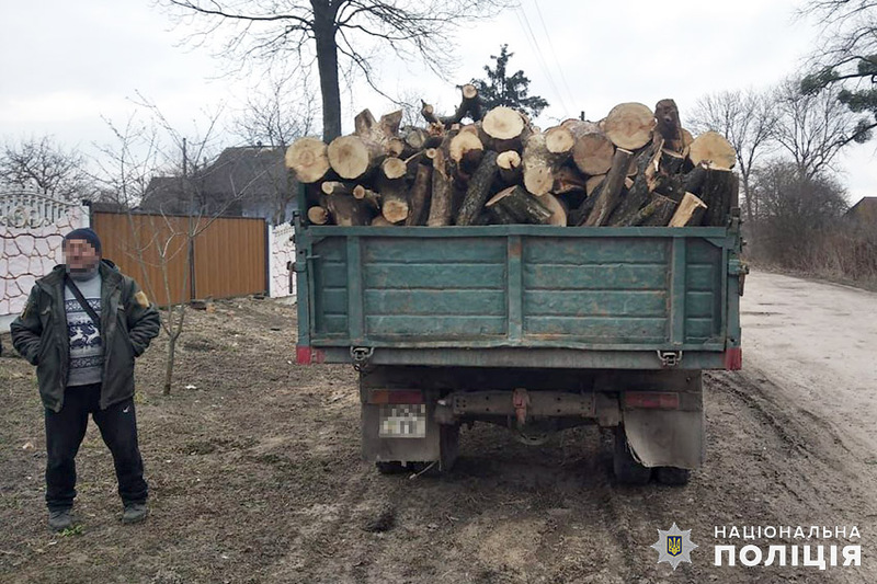 Місцевого лісника підозрюють у незаконній вирубці дерев