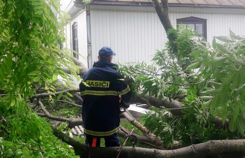 В селі Михнів Ізяславського району через сильний порив вітру розкололося дерево та нависло над житловим будинком