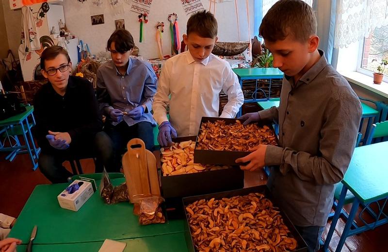 Щоб у майбутньому мати власну сировину для сухофруктів, діти біля школи висадили фруктовий сад