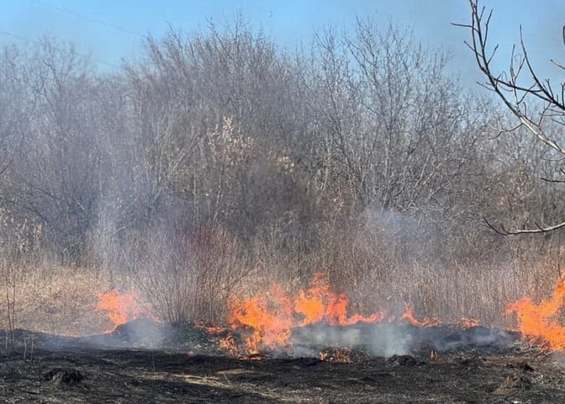 Правоохоронці зазначають, що нещасний випадок через спалювання сухої трави