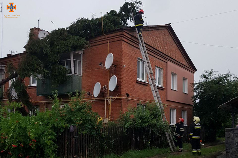 У Летичеві дерево впало на дах будинку