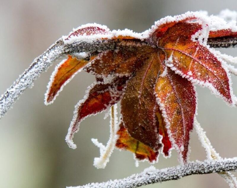 У суботу, 18 листопада, на Хмельниччині прогнозують мокрий сніг та заморозки вночі