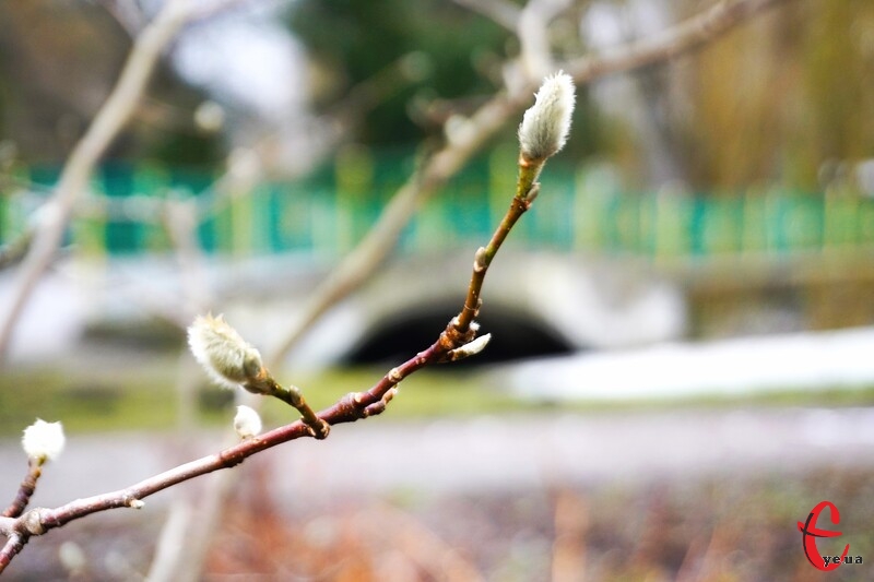 У суботу, 9 березня, на Хмельниччині очікують на морози до - 7 градусів, вдень температура прогріється до +9
