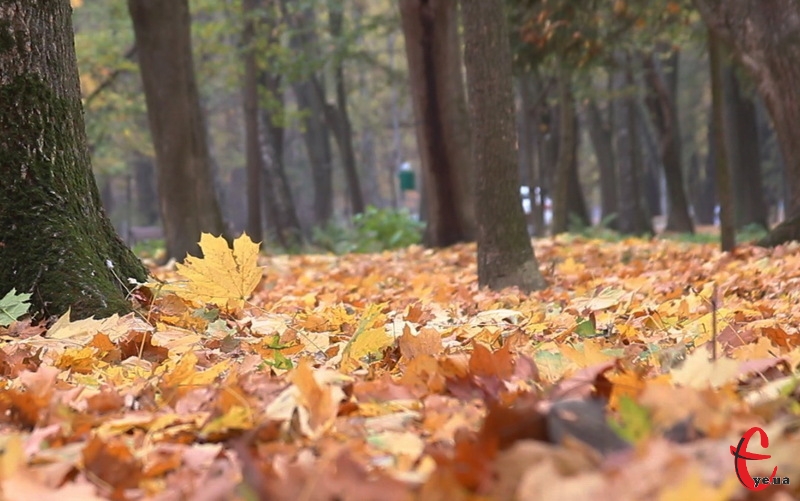 У четвер, 12 жовтня, на Хмельниччині прогнозують теплий осінній день