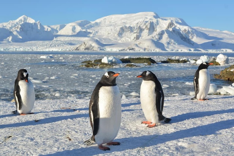 Шепетівчанин вирушить у 27-у Українську антарктичну експедицію на острів Галіндез, де розташована антарктична станція «Академік Вернадський»