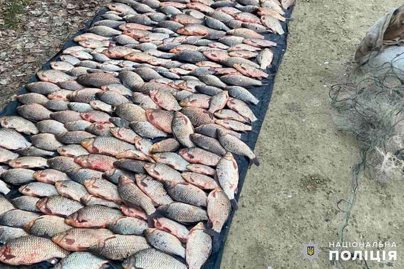Майже 250 кілограмів риби вилучили у браконьєра правоохоронці