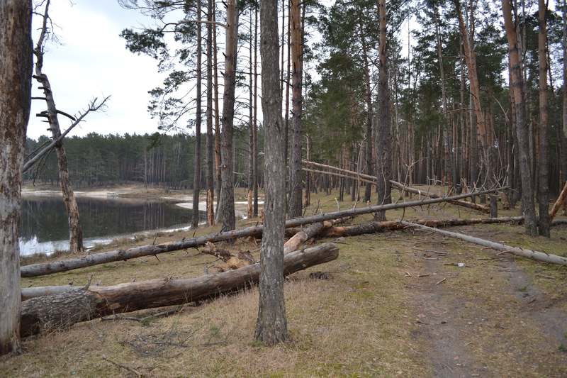 В НПП «Мале Полісся» зазначають, що озеро сьогодні переживає не найкращі часи свого існування