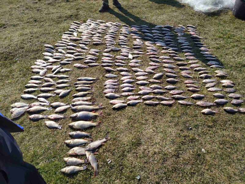 Порушники ловили рибу на річці Південний Буг