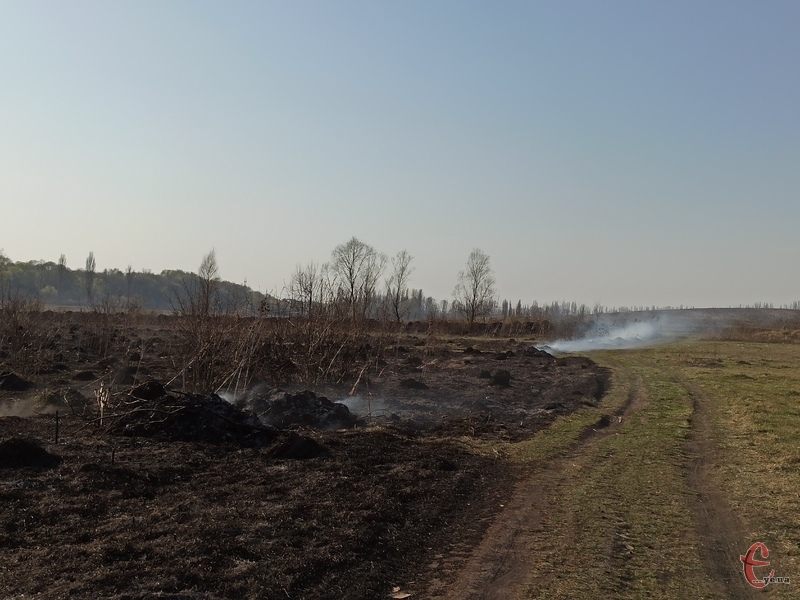 В Україні в десятки разів підвищили штрафи за спалювання трави