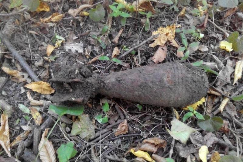 Бибухонебезпечні предмети знайшли у лісах