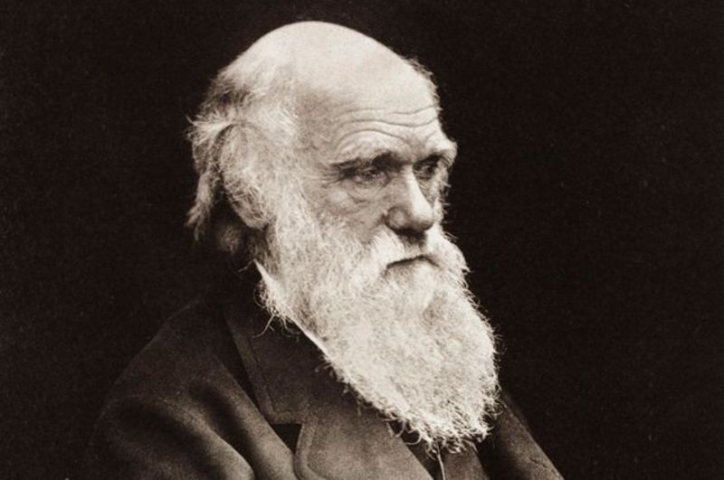 Перше видання сенсаційної книги Чарльза Дарвіна розійшлося за один день