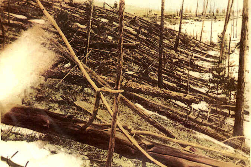 Повалені дерева в районі вибуху тунгуського метеорита