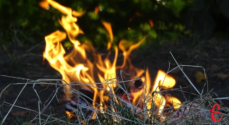 Спалення сухого листя та рослин завдає шкоди довкіллю