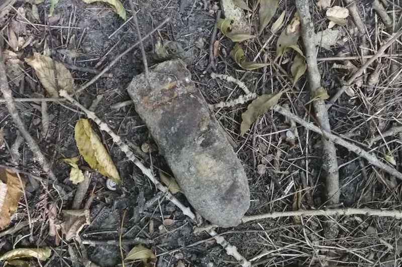 Вибухонебезпечні предмети знайшли у лісосмузі поблизу дачного масиву Лезнево-2