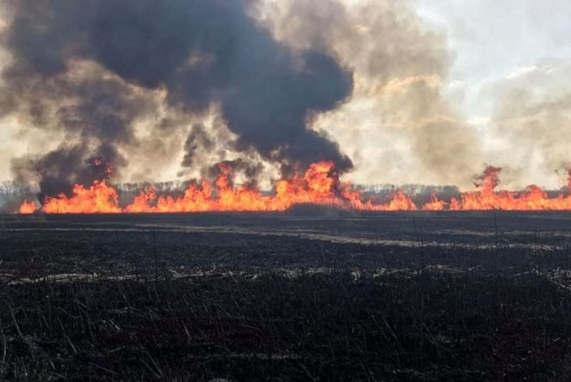 Через спалювання сухої трави на Хмельниччині фіксують масштабні пожежі