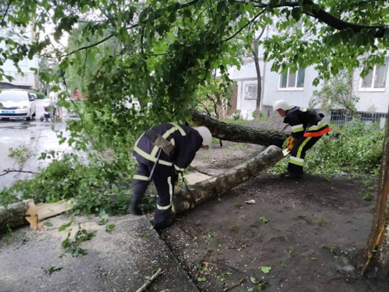 25 липня сильні пориву вітру повалили дерева на дороги Хмельниччини