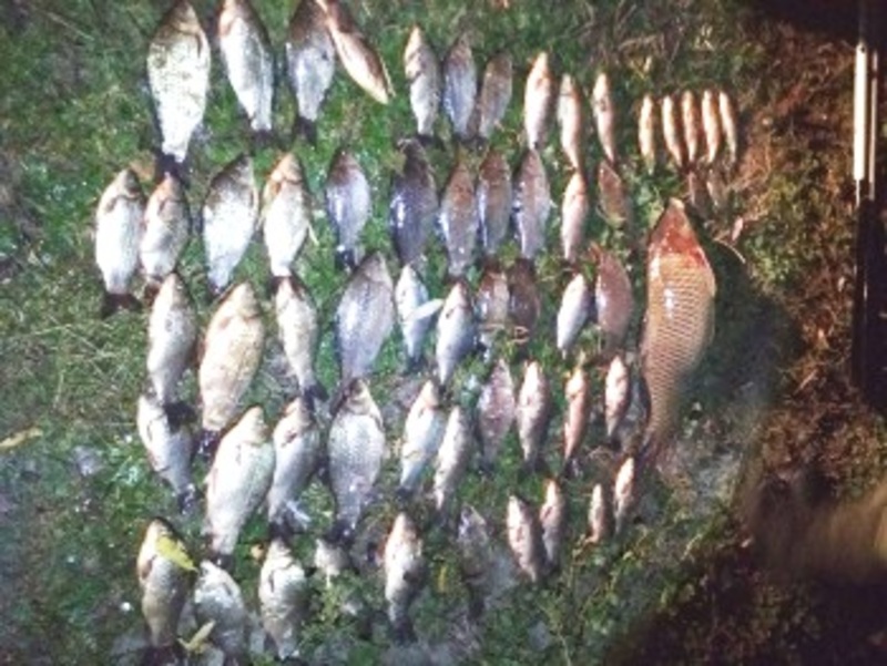Упродовж доби рибпатрульні Хмельниччини вилучили 27 кг незаконно добутої риби