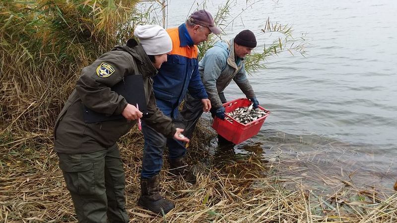 Рибоохоронці нагадують, що з 1 листопада і до скресання криги на Хмельниччині заборонено ловити рибу на зимувальних ямах