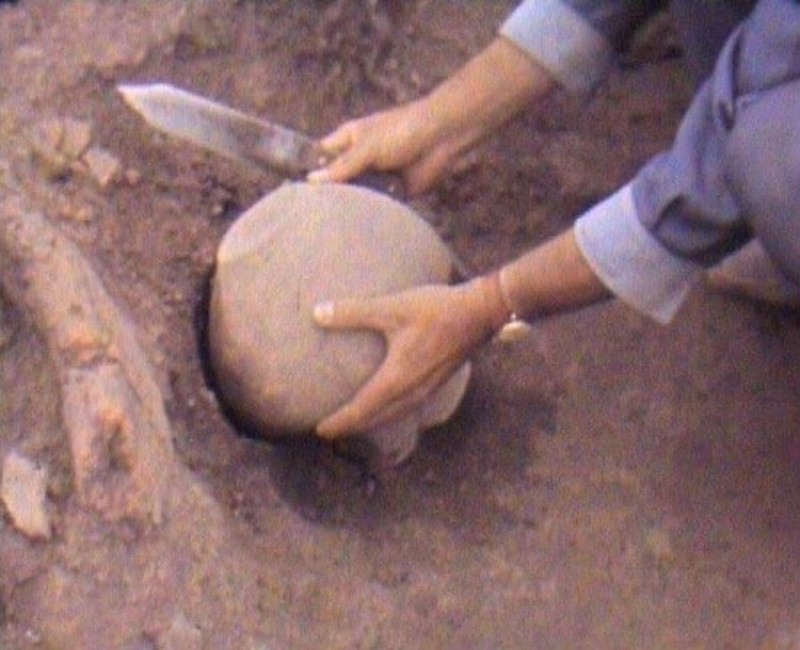 Зйомки повсякденного життя дослідників-археологів велися, починаючи з часу створення експедиції, – з 1963 року